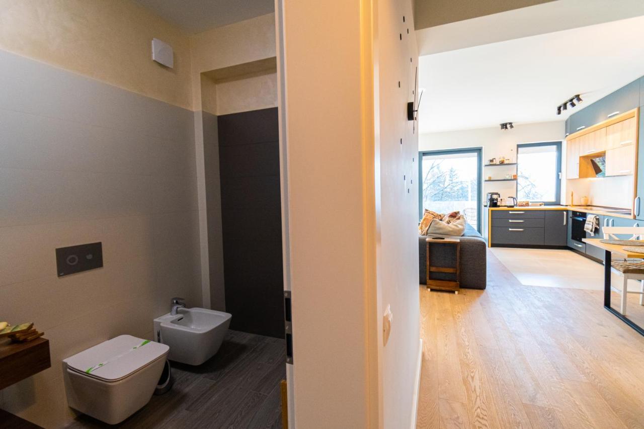 Mirador Bohemian Apt With Views Over Old Town And Tampa Mountain, Near Poiana בראשוב מראה חיצוני תמונה