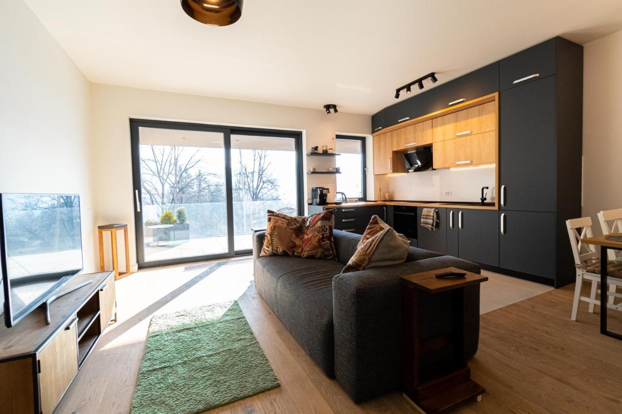 Mirador Bohemian Apt With Views Over Old Town And Tampa Mountain, Near Poiana בראשוב מראה חיצוני תמונה