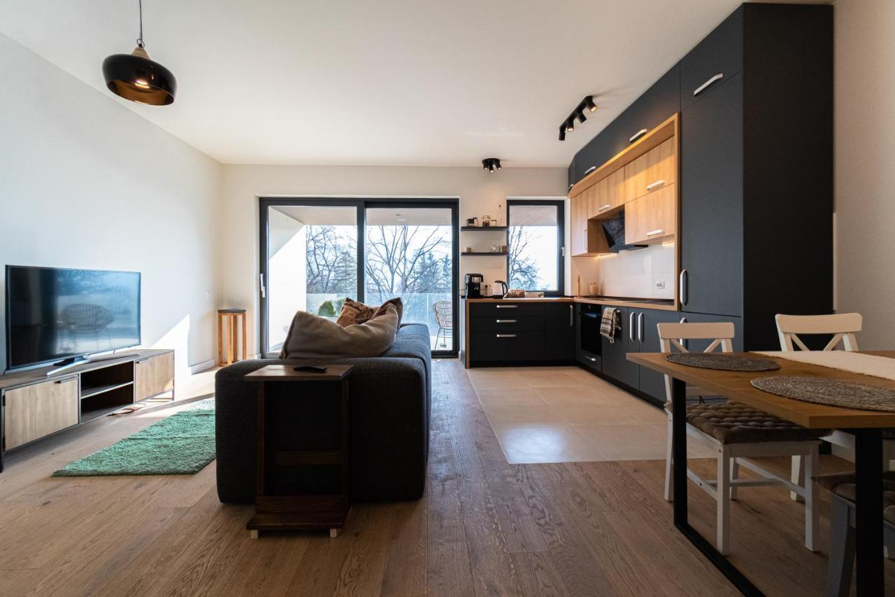 Mirador Bohemian Apt With Views Over Old Town And Tampa Mountain, Near Poiana בראשוב מראה חיצוני תמונה